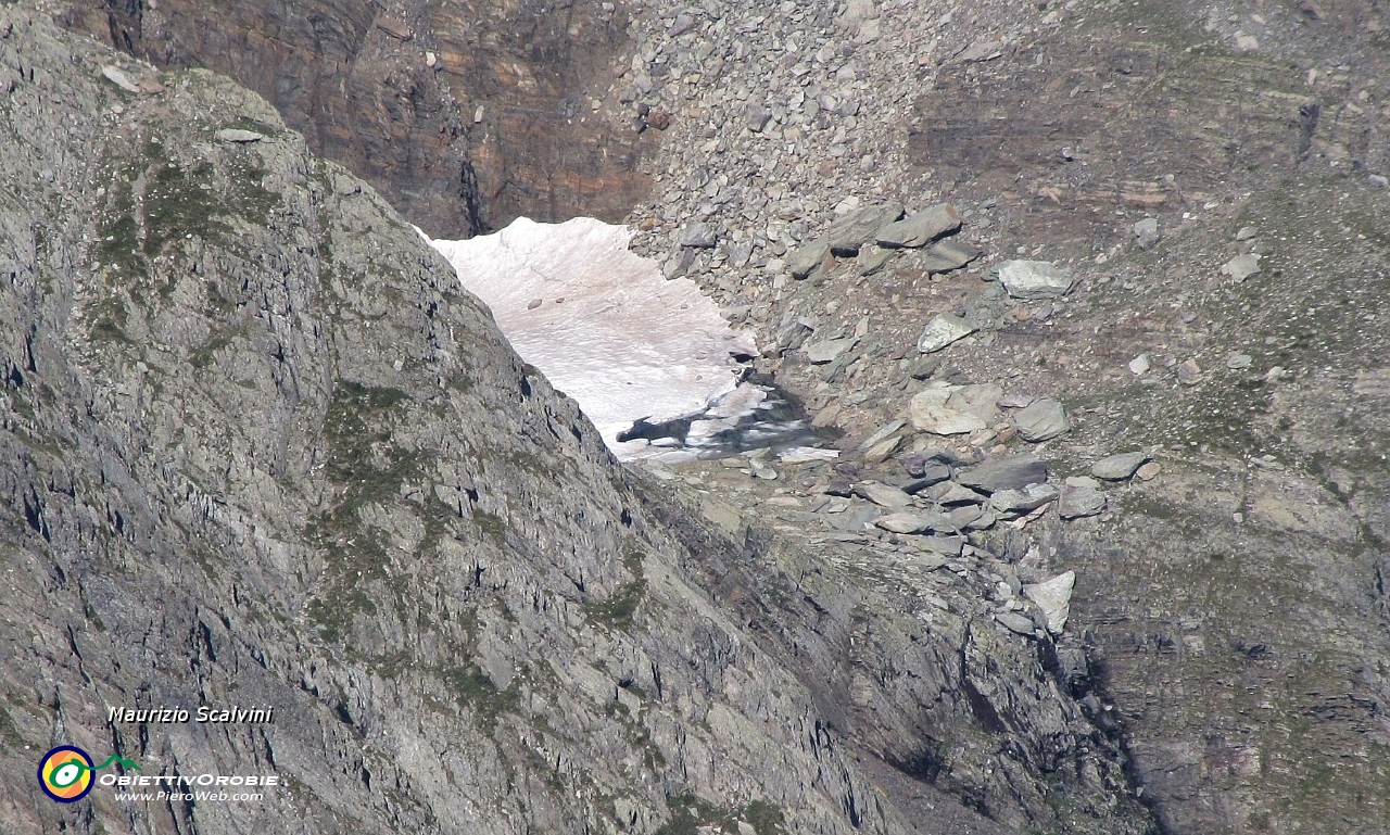 41 Zoom sul Laghetto Pennati....JPG